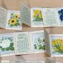 Kensitas Medium Silk Cigarette Cards Flowers 1934 - 31 Medium and 4 Small Image 3