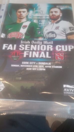 FAI Men's Cup Finals
