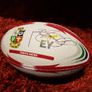 Original rare Brian O driscoll small palmsize collectable rugby ball Image 3