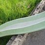 7ft Slide Image 2