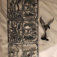 Games Workshop Warhammer AoS Age of Sigmar Stormcast Eternals Prosecutors