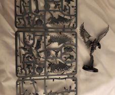 Games Workshop Warhammer AoS Age of Sigmar Stormcast Eternals Prosecutors