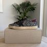 Golden Goose Deluxe Brand Super Star Sneakers Image 2