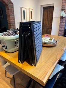Fully Retractable Dog Ladder