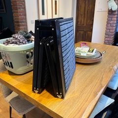 Fully Retractable Dog Ladder
