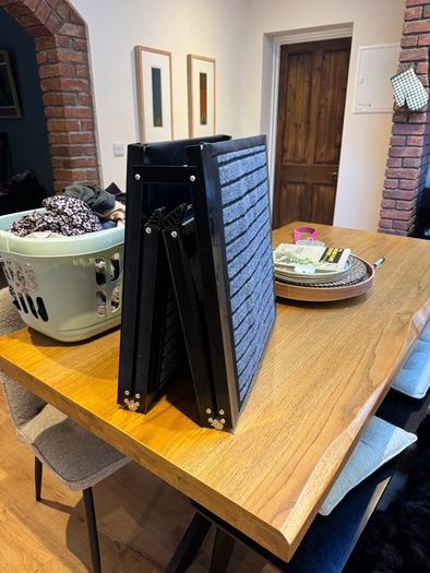 Fully Retractable Dog Ladder