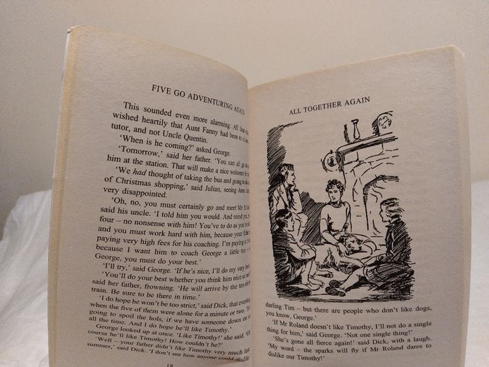 Enid Blyton, The Famous Five Classic Story Books