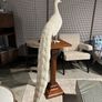 Will and I clearance Large plaster resign peacock on a mahogany stand Image 8