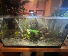 fish tank