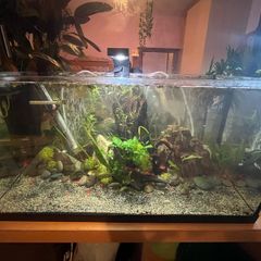 fish tank