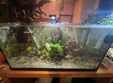 fish tank