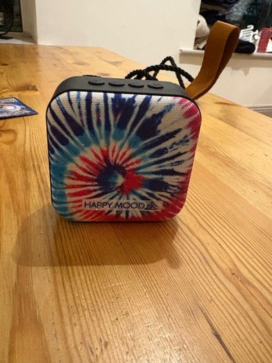 Portable wireless speaker
