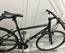 Trek FX 7.1