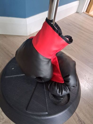 Junior Boxing Ball & Glove Set