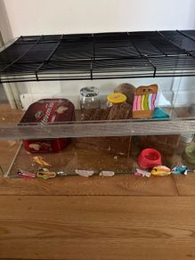 hamster cage
