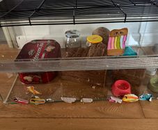 hamster cage