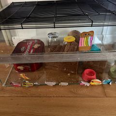 hamster cage