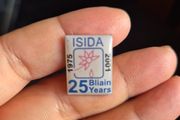 Vintage Irish Pin 1975-2001 ISIDA