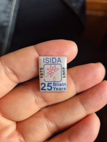 Vintage Irish Pin 1975-2001 ISIDA