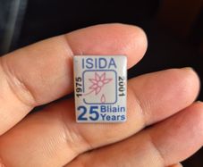 Vintage Irish Pin 1975-2001 ISIDA