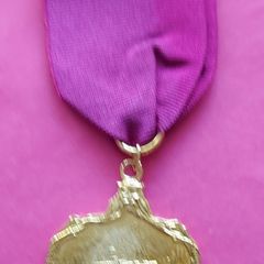 Titanic  "survivors" Gold,silver &bronze Medals