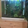 Shrimp tank Image 8