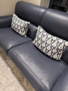 Paul Costelloe cushions