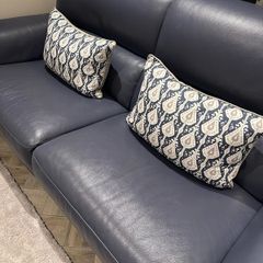 Paul Costelloe cushions