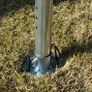 Heavy duty Marquee 8mx4m Image 6