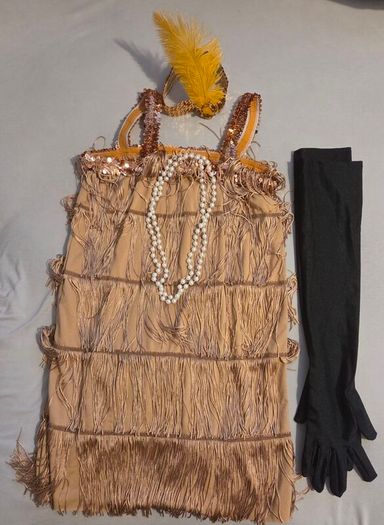 1920s Flapper Girl Fancy Dress Costume