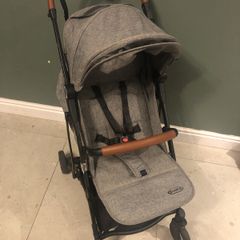 Folding Travel Buggy