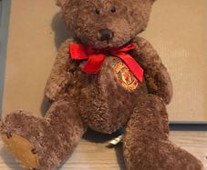 teddy bear