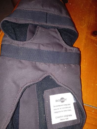 dog coat