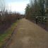 Dammar
