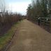 Dammar