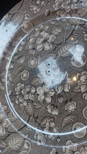 Lovely Vintage Brown and White English Ironstone Tableware Plate in a Fabulous Chintz Style Pattern, with Blossoms and Berries