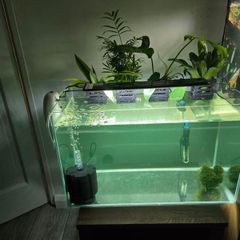 fish tank