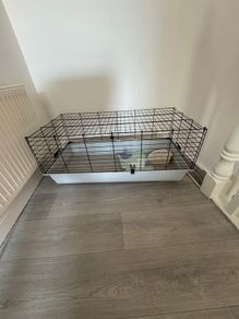 Guinea pig cage