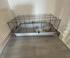 Guinea pig cage