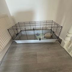 Guinea pig cage