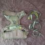 dog harness set Image 2