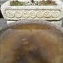 Stone Troughs.a Image 3