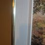 oil painting by Maura Jones forest landscape Image 6
