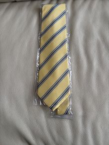Men's Tie (new)