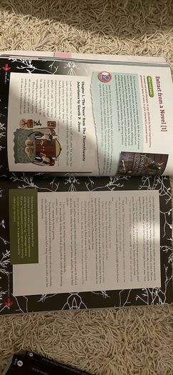 Turas 3 textbook and workbook, extra Irish grammar book. Fire and Ice 1 textbook, and 2 textbook and workbook