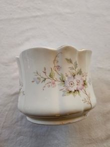 Royal Stuart Tara hall bone China vase planter