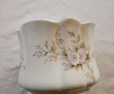 Royal Stuart Tara hall bone China vase planter