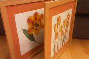Prints/Two Bright Floral Pictures .. Frames Size" 18" x 18" .. NOW ONLY 22euro for Both or 16.00Each