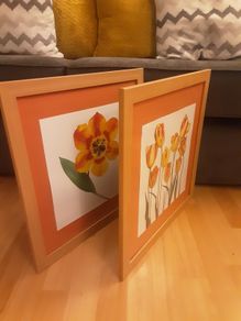 Prints/Two Bright Floral Pictures .. Frames Size" 18" x 18" .. NOW ONLY 22euro for Both or 16.00Each