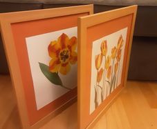 Prints/Two Bright Floral Pictures .. Frames Size" 18" x 18" .. NOW ONLY 22euro for Both or 16.00Each